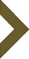 Shashi Deshmukh & Associates